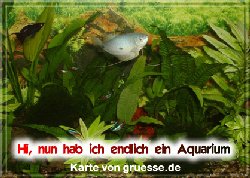 grusskarte-diverses-aquarianer-q_003