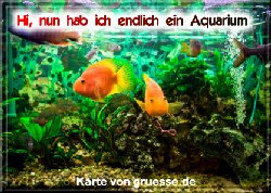 grusskarte-diverses-aquarianer-q_005