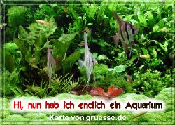 grusskarte-diverses-aquarianer-q_006