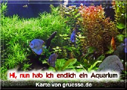 grusskarte-diverses-aquarianer-q_007