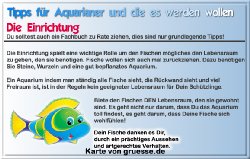 grusskarte-diverses-aquarianer-q_009