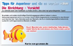 grusskarte-diverses-aquarianer-q_010