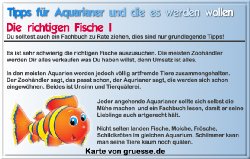grusskarte-diverses-aquarianer-q_011