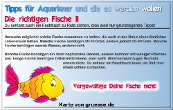 grusskarte-diverses-aquarianer-q_012