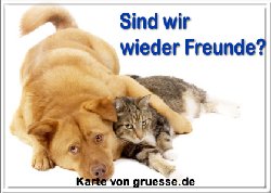 grusskarte-diverses-verzeihung-q_005