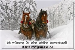 grusskarte-festtage-advent-winterfotos-q_005