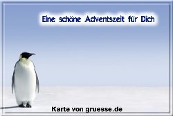 grusskarte-festtage-advent-winterfotos-q_016