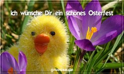 grusskarte-festtage-ostern-standard-2-b_010