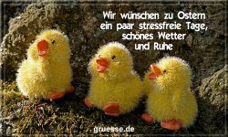 grusskarte-festtage-ostern-standard-2-b_029