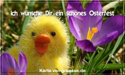 grusskarte-festtage-ostern-standard-2-q_010