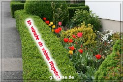 grusskarte-festtage-pfingsten-fotos-b_003