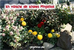 grusskarte-festtage-pfingsten-fotos-b_009