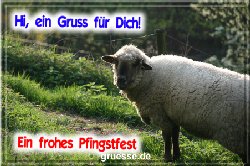 grusskarte-festtage-pfingsten-fotos-b_011