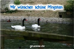 grusskarte-festtage-pfingsten-fotos-b_026