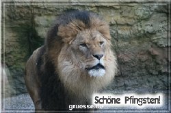 grusskarte-festtage-pfingsten-fotos-b_030