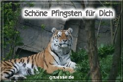 grusskarte-festtage-pfingsten-fotos-b_033
