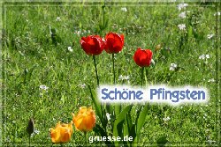 grusskarte-festtage-pfingsten-fotos-b_035