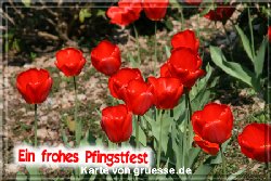 grusskarte-festtage-pfingsten-fotos-q_001