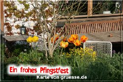 grusskarte-festtage-pfingsten-fotos-q_002