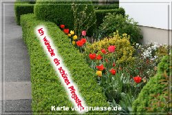 grusskarte-festtage-pfingsten-fotos-q_003