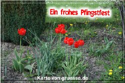 grusskarte-festtage-pfingsten-fotos-q_005