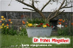 grusskarte-festtage-pfingsten-fotos-q_006
