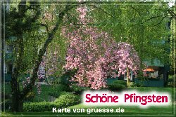 grusskarte-festtage-pfingsten-fotos-q_007