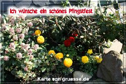 grusskarte-festtage-pfingsten-fotos-q_009