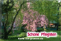 grusskarte-festtage-pfingsten-fotos-q_010