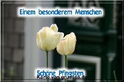 grusskarte-festtage-pfingsten-fotos-q_022