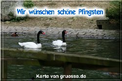 grusskarte-festtage-pfingsten-fotos-q_026