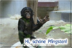 grusskarte-festtage-pfingsten-fotos-q_027