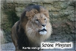 grusskarte-festtage-pfingsten-fotos-q_030