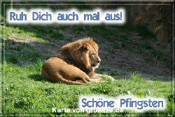 grusskarte-festtage-pfingsten-fotos-q_031