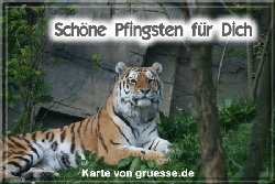 grusskarte-festtage-pfingsten-fotos-q_033