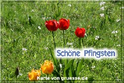 grusskarte-festtage-pfingsten-fotos-q_035