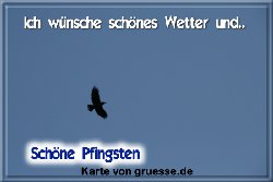 grusskarte-festtage-pfingsten-fotos-q_036