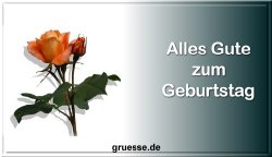 grusskarte-glueckwuensche-geburtstag-blumen-b_009