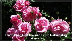 grusskarte-glueckwuensche-geburtstag-blumen-b_021