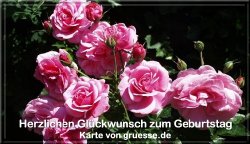grusskarte-glueckwuensche-geburtstag-blumen-q_021