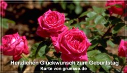 grusskarte-glueckwuensche-geburtstag-blumen-q_022