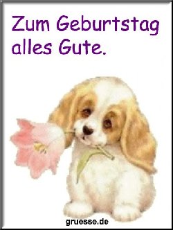 grusskarte-glueckwuensche-geburtstag-grosse-karten-b_026