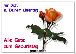 grusskarte-glueckwuensche-geburtstag-standard-b_043