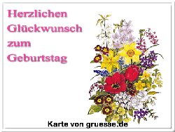 grusskarte-glueckwuensche-geburtstag-standard-q_008