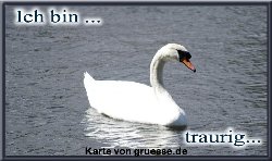 ich-bin-ich-bin-traurig_014