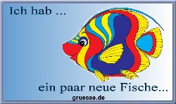 grusskarte-ich-hab-ich-hab-neue-fische_003