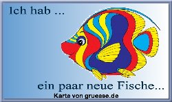 ich-hab-ich-hab-neue-fische_003