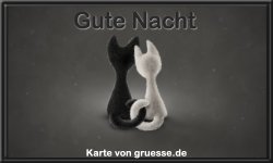 zeiten-gute-nacht_099