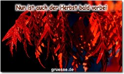 grusskarte-zeiten-jahreszeit-herbst-b_015