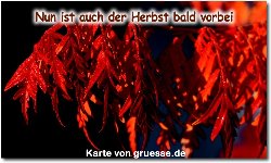 zeiten-jahreszeit-herbst_015